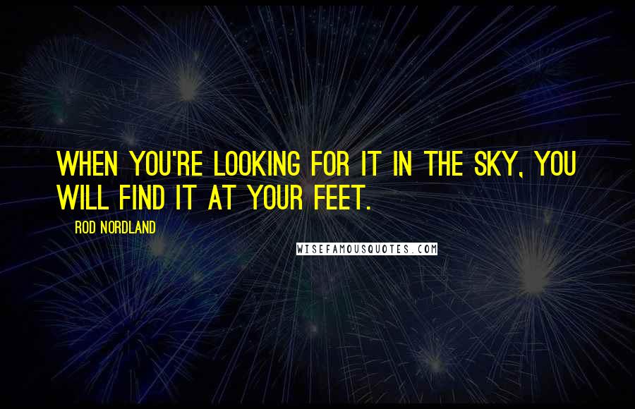 Rod Nordland Quotes: When you're looking for it in the sky, you will find it at your feet.