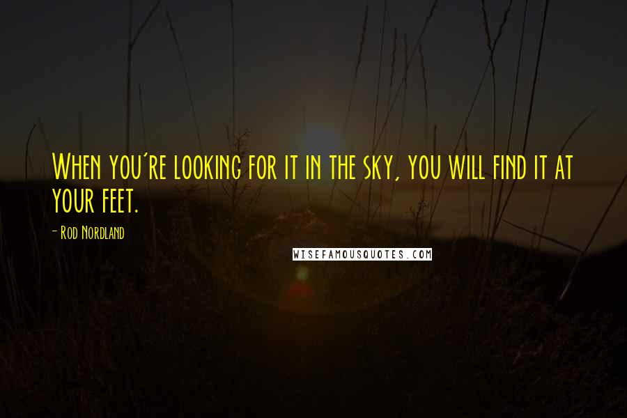 Rod Nordland Quotes: When you're looking for it in the sky, you will find it at your feet.