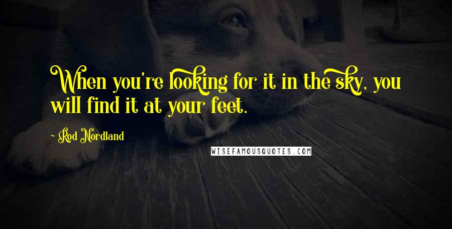 Rod Nordland Quotes: When you're looking for it in the sky, you will find it at your feet.
