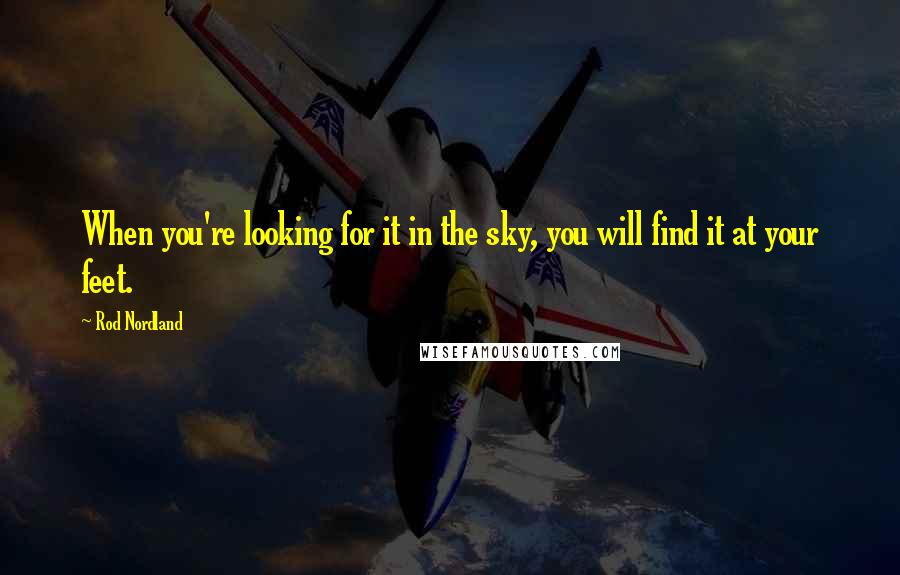 Rod Nordland Quotes: When you're looking for it in the sky, you will find it at your feet.