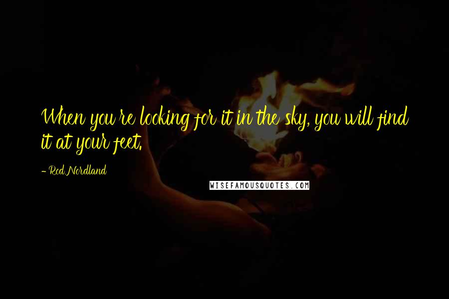 Rod Nordland Quotes: When you're looking for it in the sky, you will find it at your feet.