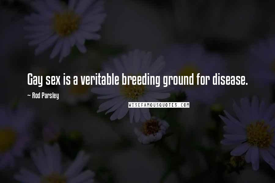 Rod Parsley Quotes: Gay sex is a veritable breeding ground for disease.