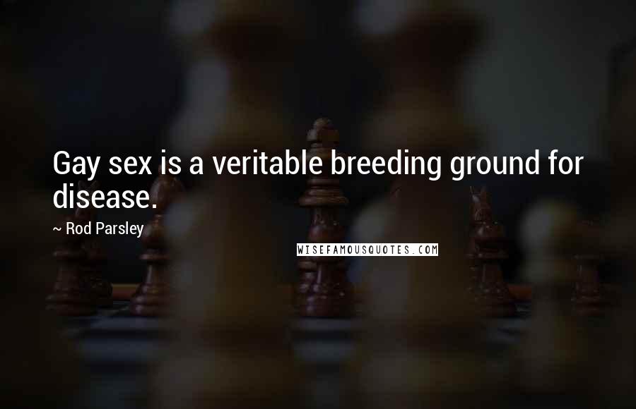 Rod Parsley Quotes: Gay sex is a veritable breeding ground for disease.