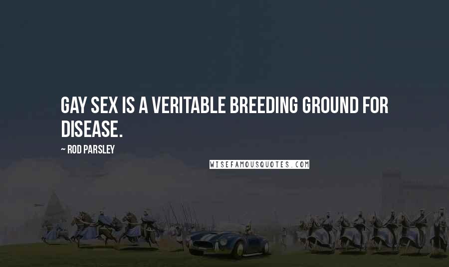 Rod Parsley Quotes: Gay sex is a veritable breeding ground for disease.