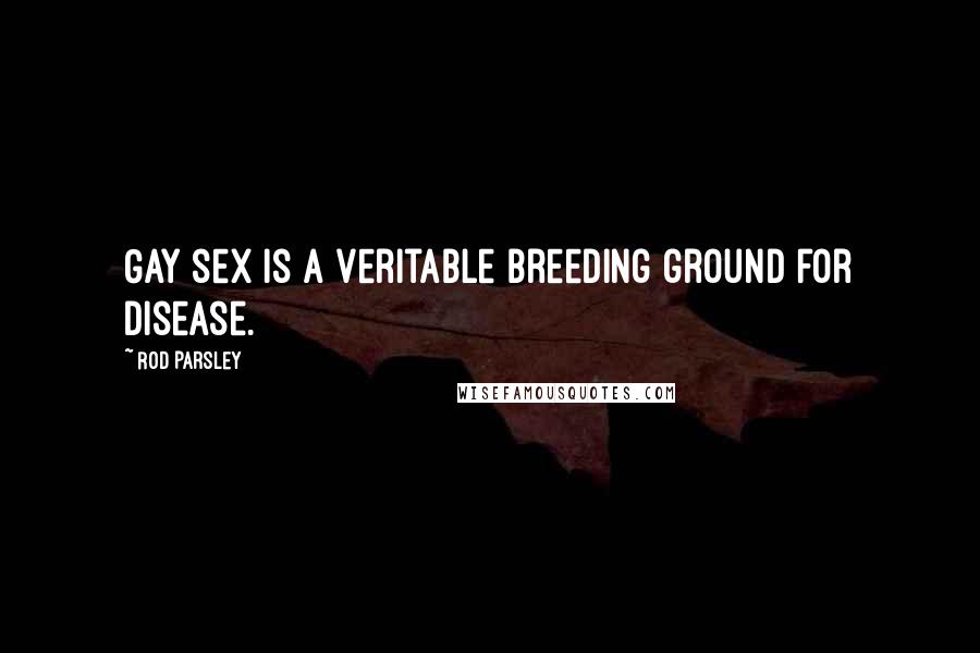 Rod Parsley Quotes: Gay sex is a veritable breeding ground for disease.