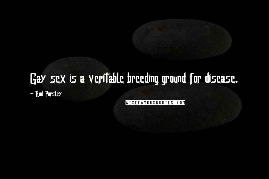 Rod Parsley Quotes: Gay sex is a veritable breeding ground for disease.