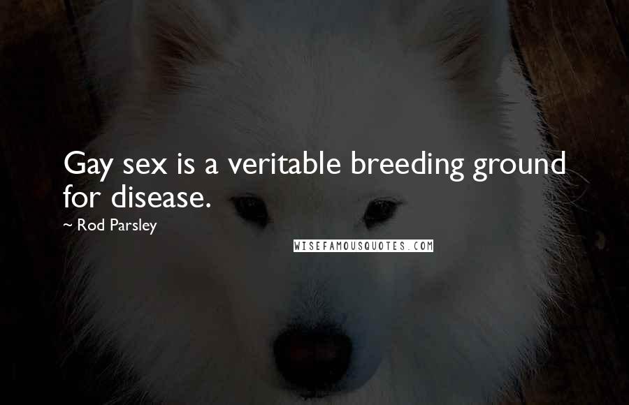 Rod Parsley Quotes: Gay sex is a veritable breeding ground for disease.