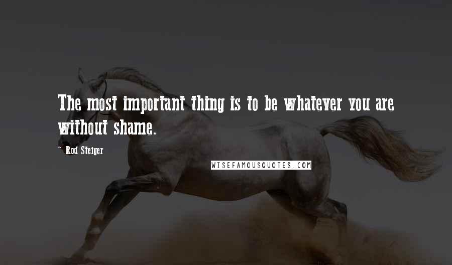 Rod Steiger Quotes: The most important thing is to be whatever you are without shame.