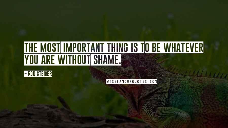 Rod Steiger Quotes: The most important thing is to be whatever you are without shame.