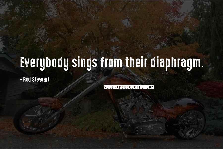 Rod Stewart Quotes: Everybody sings from their diaphragm.