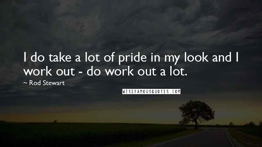 Rod Stewart Quotes: I do take a lot of pride in my look and I work out - do work out a lot.