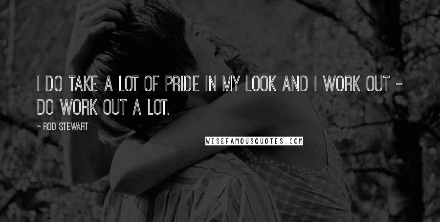 Rod Stewart Quotes: I do take a lot of pride in my look and I work out - do work out a lot.