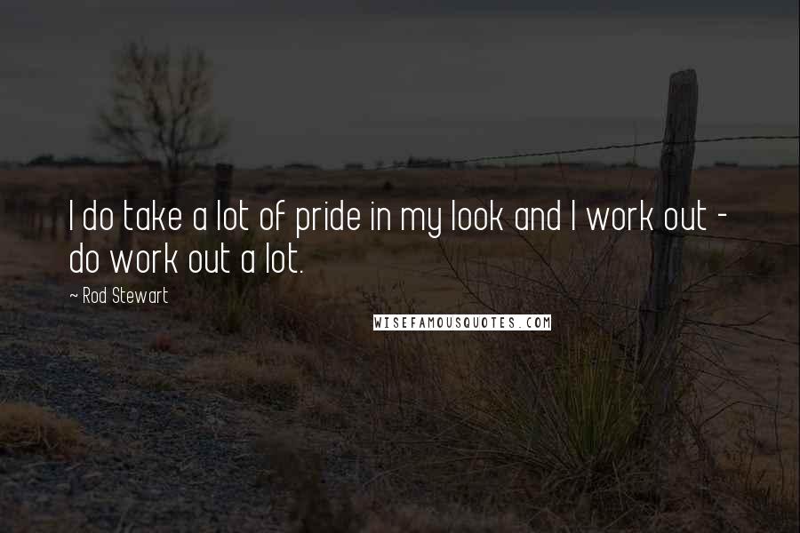 Rod Stewart Quotes: I do take a lot of pride in my look and I work out - do work out a lot.
