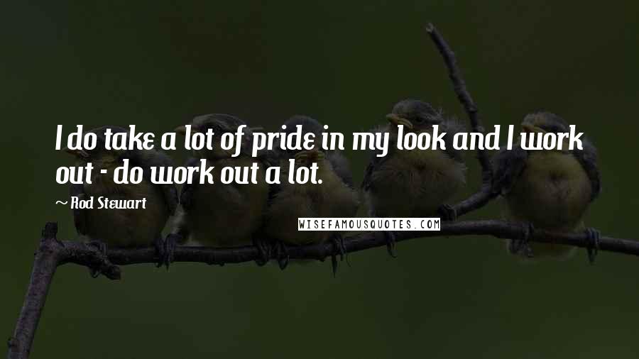 Rod Stewart Quotes: I do take a lot of pride in my look and I work out - do work out a lot.