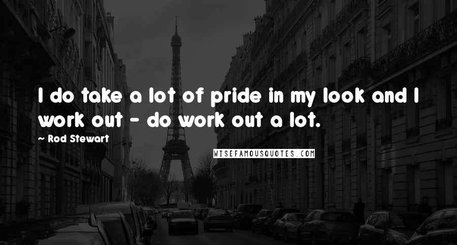 Rod Stewart Quotes: I do take a lot of pride in my look and I work out - do work out a lot.