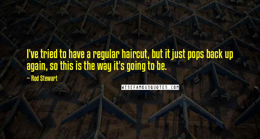 Rod Stewart Quotes: I've tried to have a regular haircut, but it just pops back up again, so this is the way it's going to be.