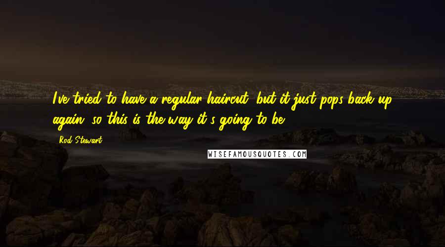 Rod Stewart Quotes: I've tried to have a regular haircut, but it just pops back up again, so this is the way it's going to be.