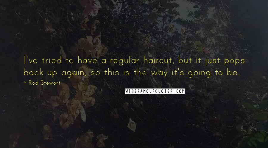 Rod Stewart Quotes: I've tried to have a regular haircut, but it just pops back up again, so this is the way it's going to be.