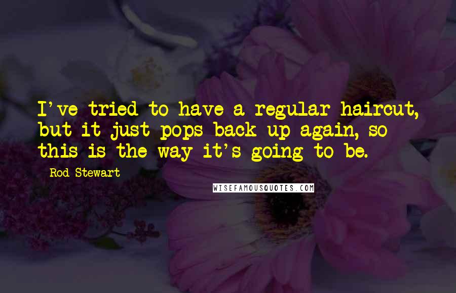 Rod Stewart Quotes: I've tried to have a regular haircut, but it just pops back up again, so this is the way it's going to be.