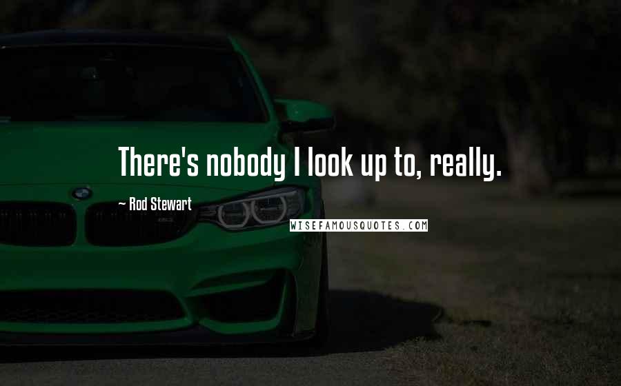 Rod Stewart Quotes: There's nobody I look up to, really.