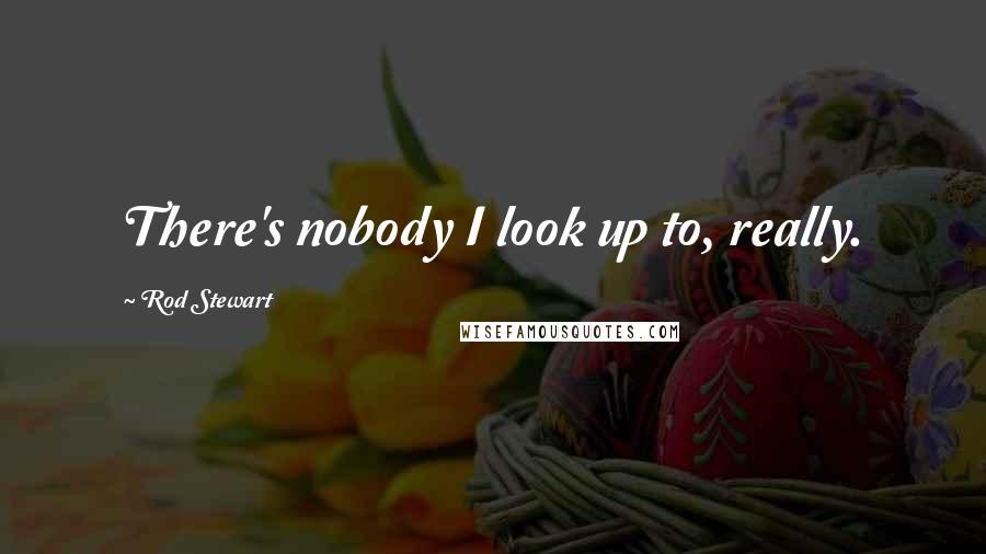 Rod Stewart Quotes: There's nobody I look up to, really.