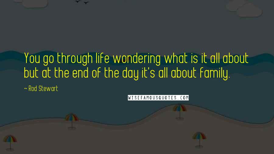 Rod Stewart Quotes: You go through life wondering what is it all about but at the end of the day it's all about family.