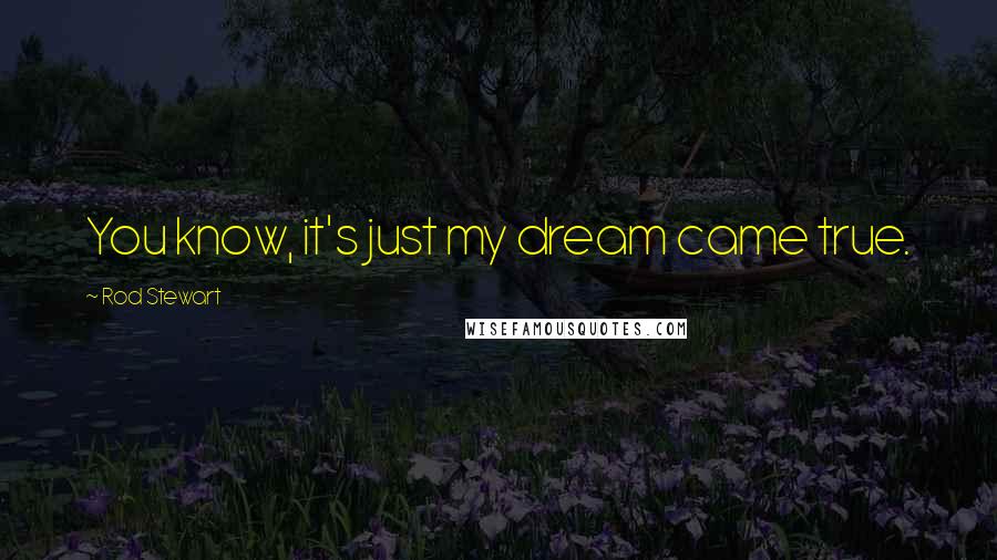 Rod Stewart Quotes: You know, it's just my dream came true.