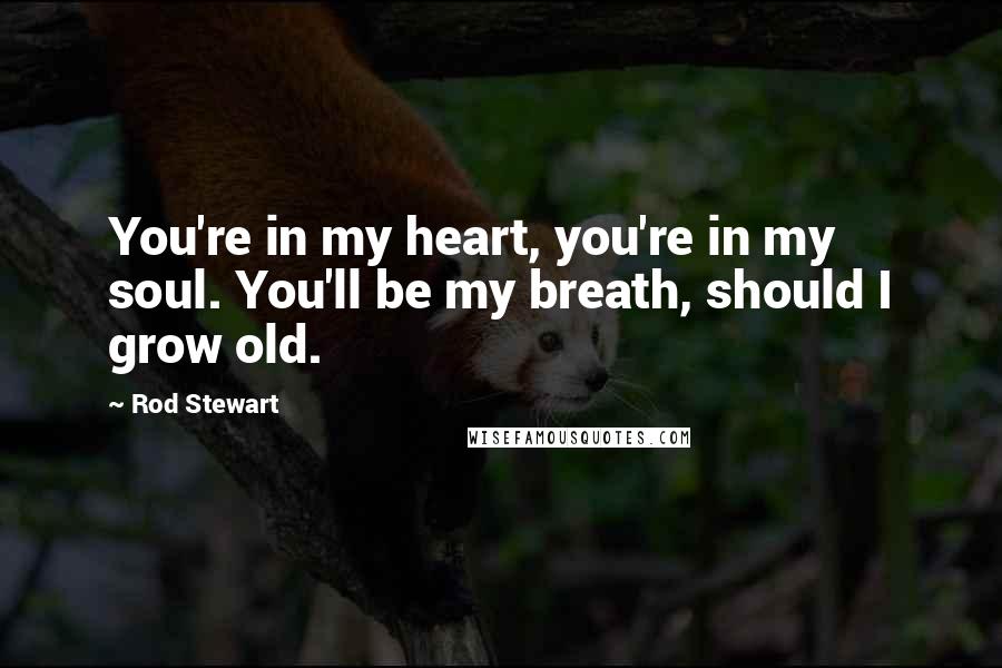 Rod Stewart Quotes: You're in my heart, you're in my soul. You'll be my breath, should I grow old.