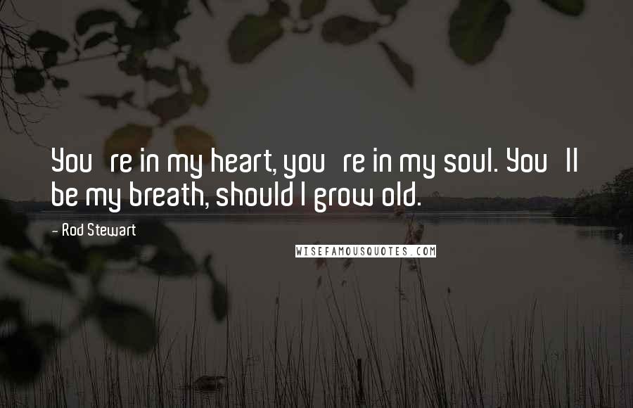 Rod Stewart Quotes: You're in my heart, you're in my soul. You'll be my breath, should I grow old.