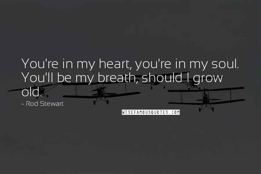 Rod Stewart Quotes: You're in my heart, you're in my soul. You'll be my breath, should I grow old.