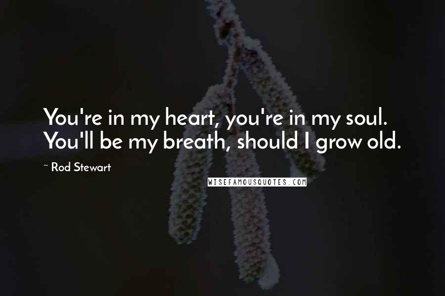 Rod Stewart Quotes: You're in my heart, you're in my soul. You'll be my breath, should I grow old.