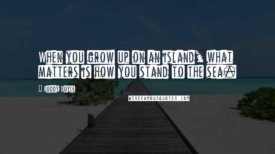 Roddy Doyle Quotes: When you grow up on an island, what matters is how you stand to the sea.