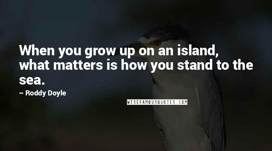 Roddy Doyle Quotes: When you grow up on an island, what matters is how you stand to the sea.