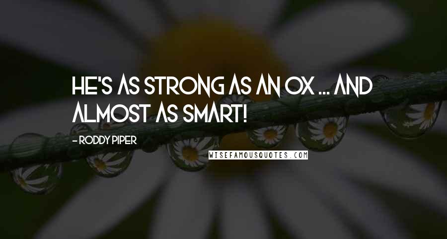 Roddy Piper Quotes: He's as strong as an ox ... and ALMOST as smart!