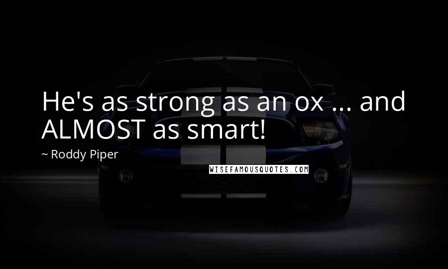 Roddy Piper Quotes: He's as strong as an ox ... and ALMOST as smart!