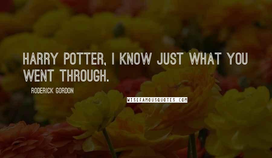 Roderick Gordon Quotes: Harry Potter, I know just what you went through.