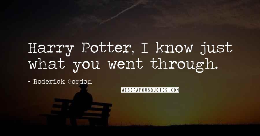 Roderick Gordon Quotes: Harry Potter, I know just what you went through.