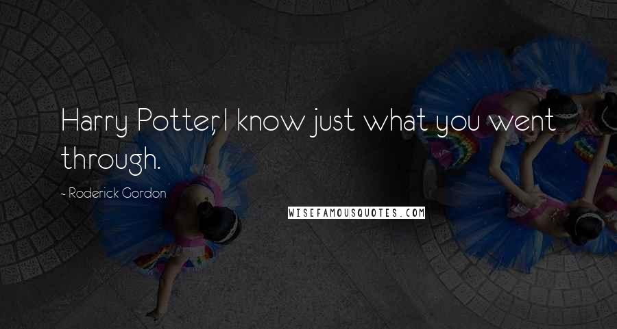 Roderick Gordon Quotes: Harry Potter, I know just what you went through.