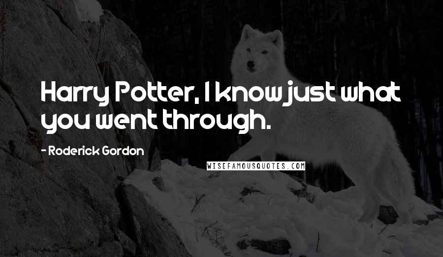 Roderick Gordon Quotes: Harry Potter, I know just what you went through.