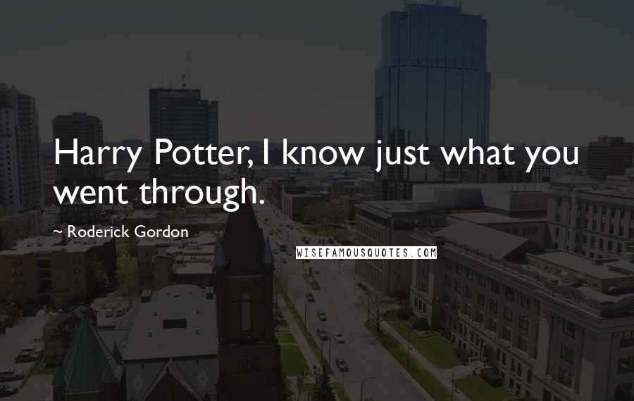 Roderick Gordon Quotes: Harry Potter, I know just what you went through.