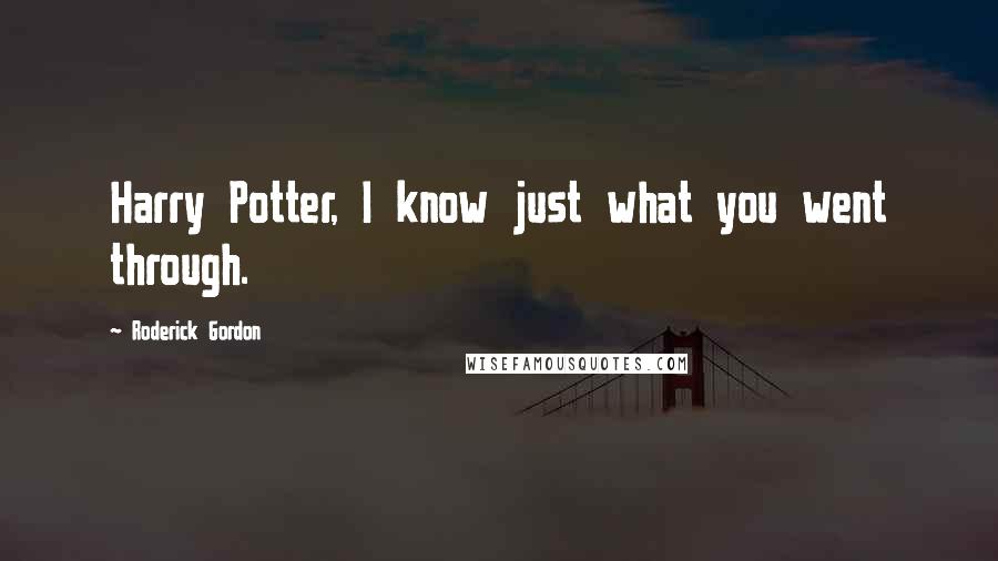 Roderick Gordon Quotes: Harry Potter, I know just what you went through.