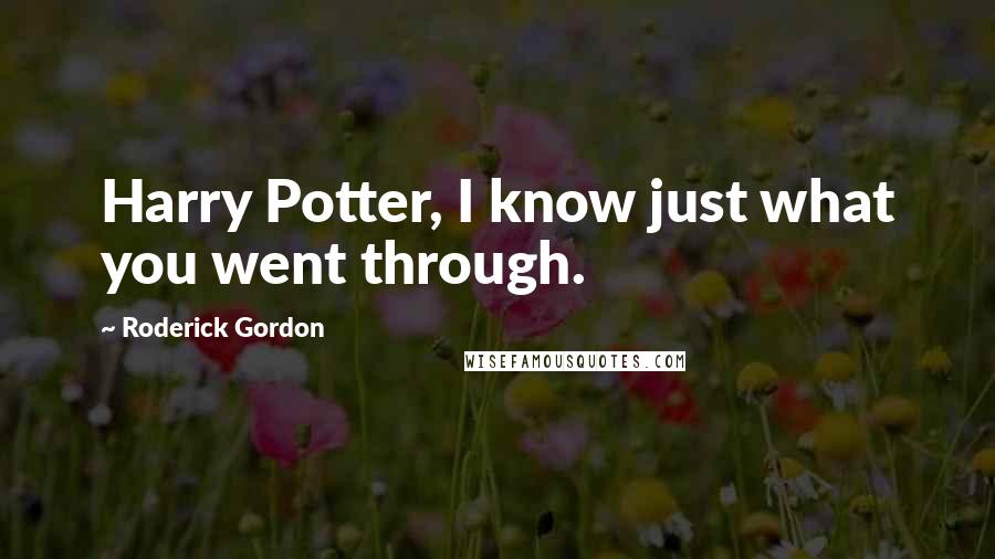 Roderick Gordon Quotes: Harry Potter, I know just what you went through.