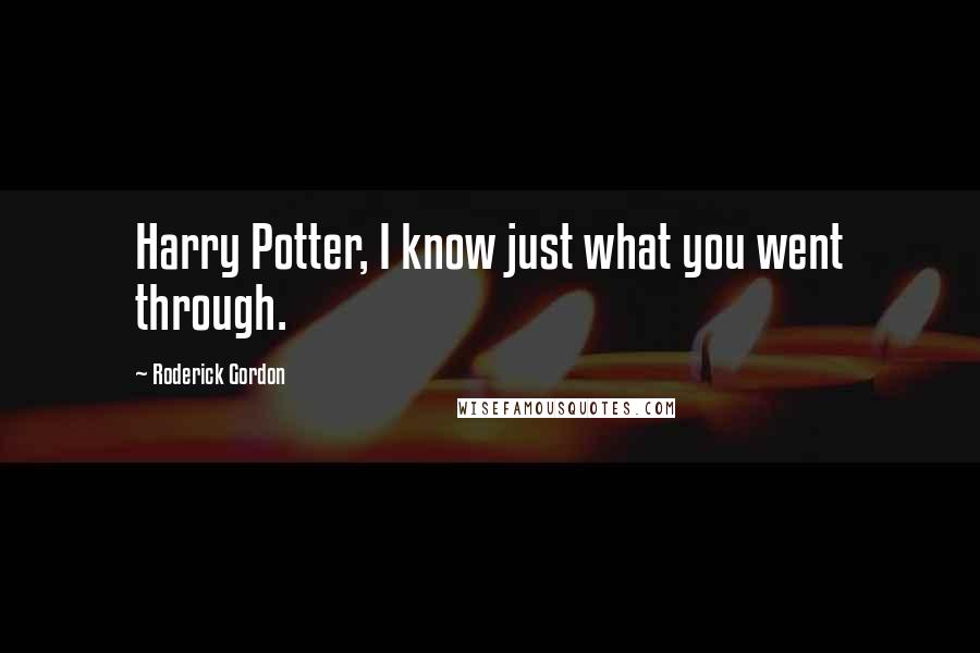 Roderick Gordon Quotes: Harry Potter, I know just what you went through.