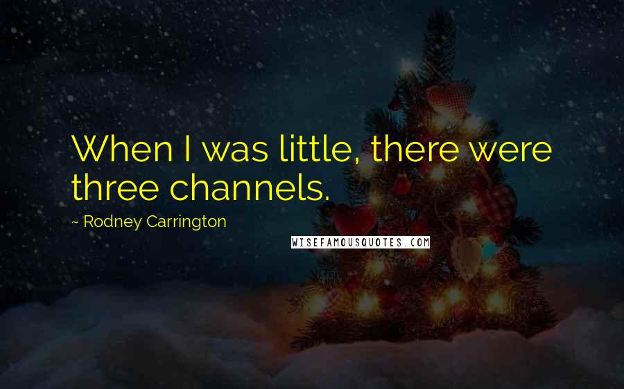 Rodney Carrington Quotes: When I was little, there were three channels.