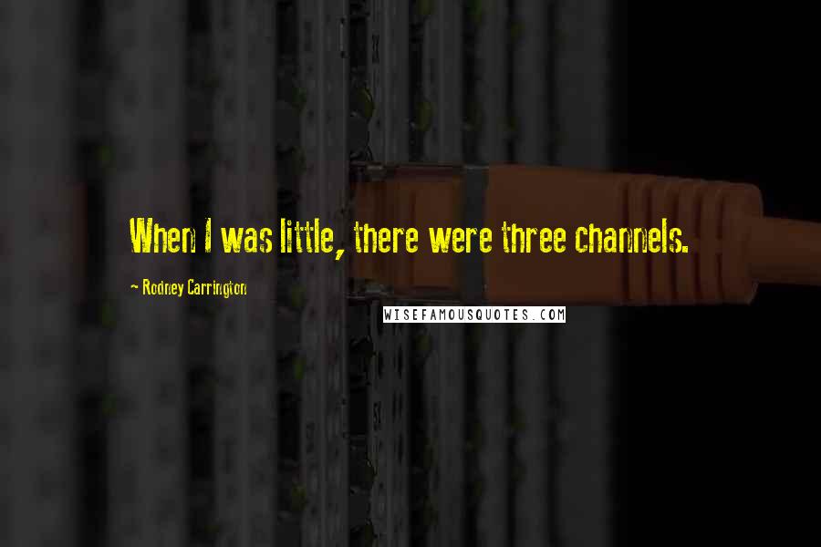 Rodney Carrington Quotes: When I was little, there were three channels.