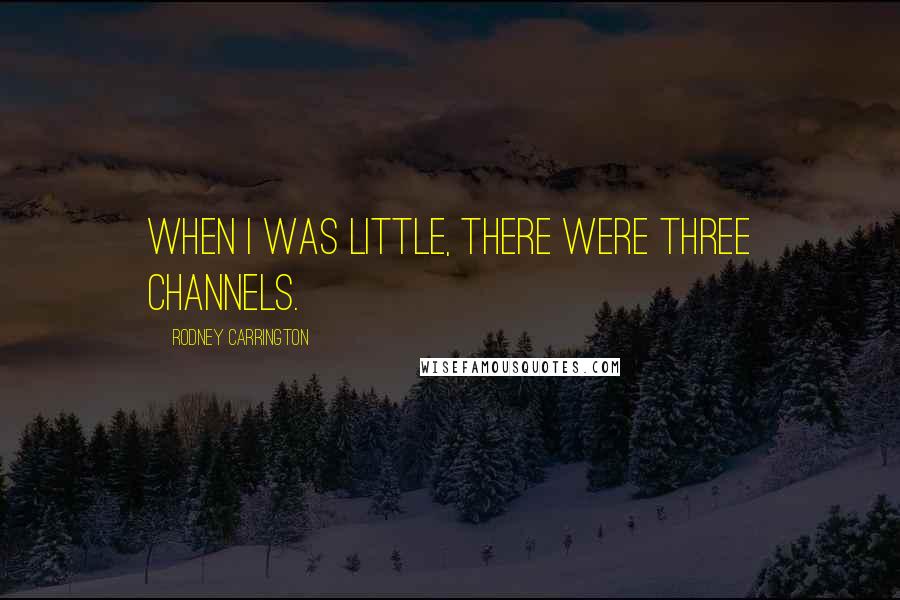 Rodney Carrington Quotes: When I was little, there were three channels.