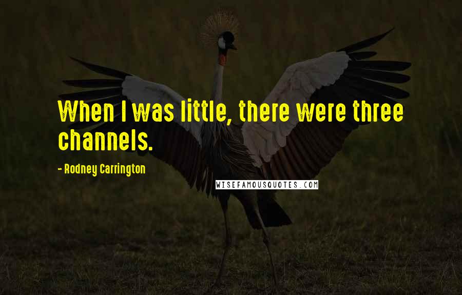 Rodney Carrington Quotes: When I was little, there were three channels.