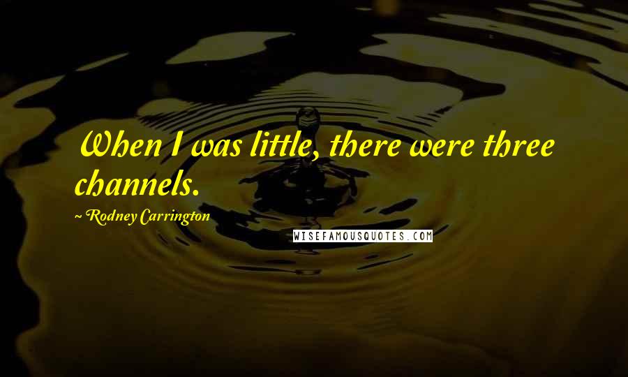 Rodney Carrington Quotes: When I was little, there were three channels.
