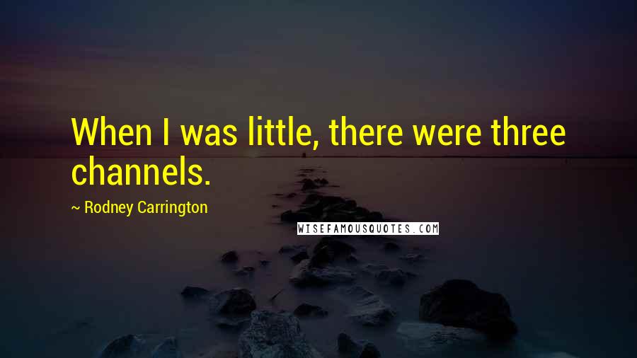 Rodney Carrington Quotes: When I was little, there were three channels.