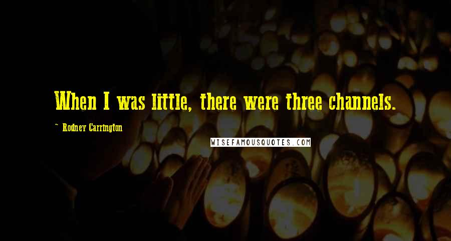 Rodney Carrington Quotes: When I was little, there were three channels.
